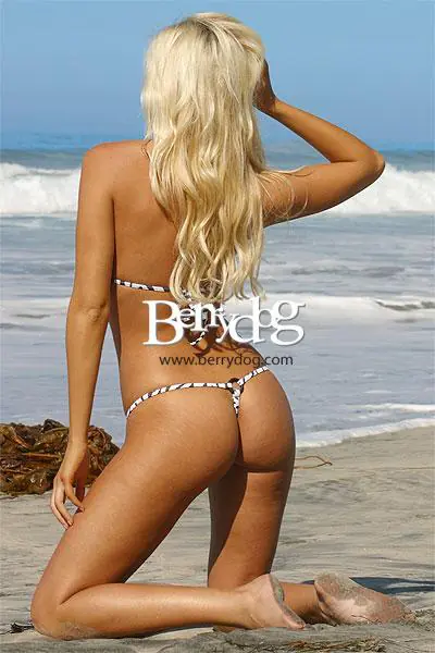 Freshkini Zebra Print Connected Triangle Top & G String Thong Bikini