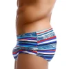 Classic Striped Swim Briefs