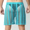 Sheer Large Mesh Shorts Cyan Rear 2 Sheer Large Mesh Shorts Cyan Rear