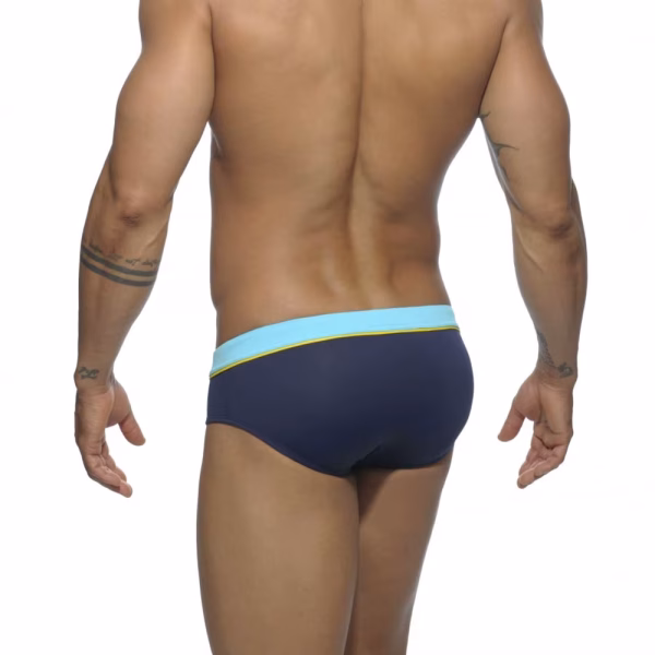 Triumph Swim Briefs in navy blue rear view