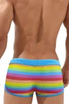 Men's Rainbow Swim Shorts