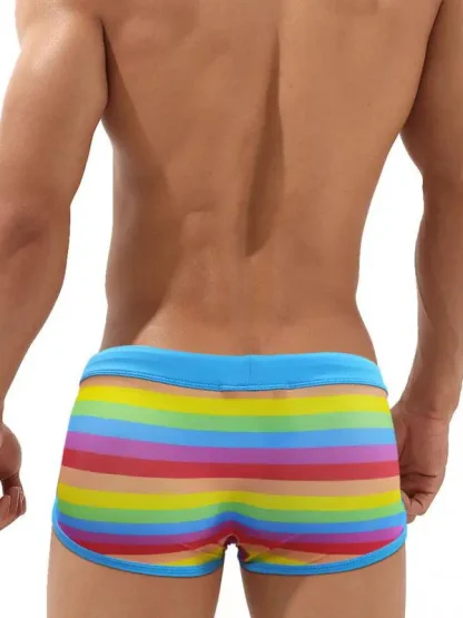 Men's Rainbow Swim Shorts