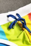 Rainbow Colors Swim Briefs
