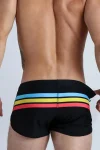 Colorful Stripes Swim Shorts