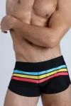 Colorful Stripes Swim Shorts