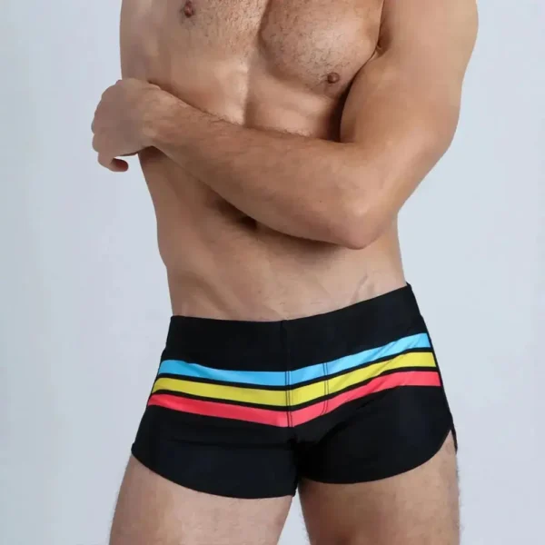 Colorful Stripes Swim Shorts
