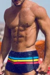 Colorful Stripes Swim Shorts