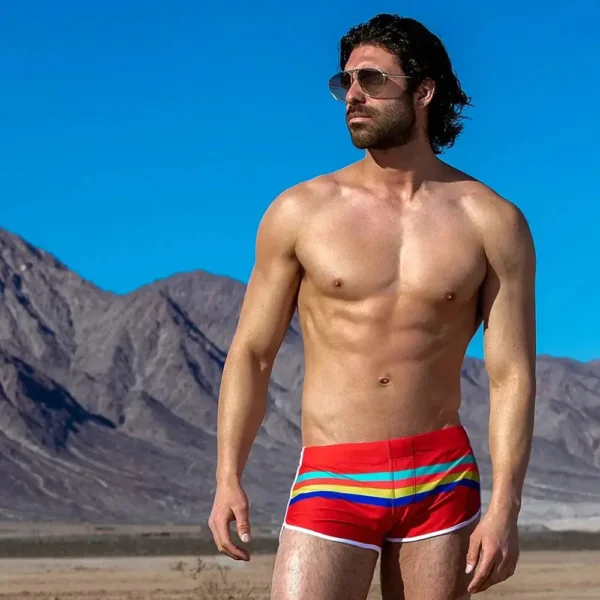 Colorful Stripes Swim Shorts
