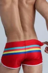 Colorful Stripes Swim Shorts