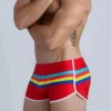 Colorful Stripes Swim Shorts