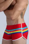Colorful Stripes Swim Shorts