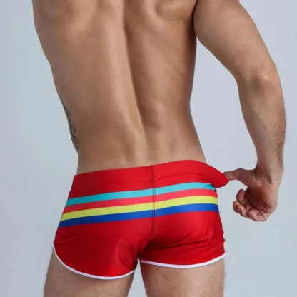 Colorful Stripes Swim Shorts