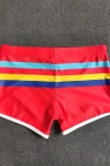 Colorful Stripes Swim Shorts