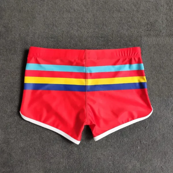 Colorful Stripes Swim Shorts