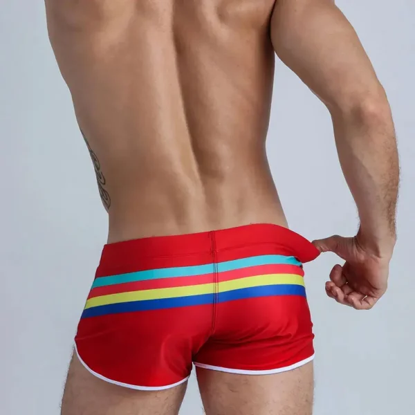 Colorful Stripes Swim Shorts