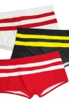 Double Stripe Swim Shorts