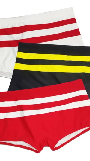 Double Stripe Swim Shorts