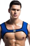 JOCKMAIL Harness JM902 in Blue
