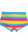 Men's Rainbow Swim Shorts