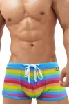 Men's Rainbow Swim Shorts
