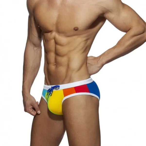 Rainbow Colors Swim Briefs
