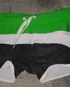 Tri-Color Striped Men's Swim Shorts