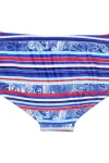 Classic Striped Swim Briefs