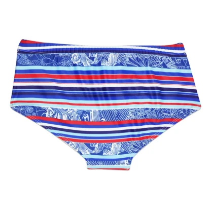 Classic Striped Swim Briefs