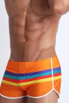 Colorful Stripes Swim Shorts