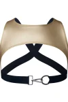 jm998-open-front-full-back-shiny-gold-harness.webp