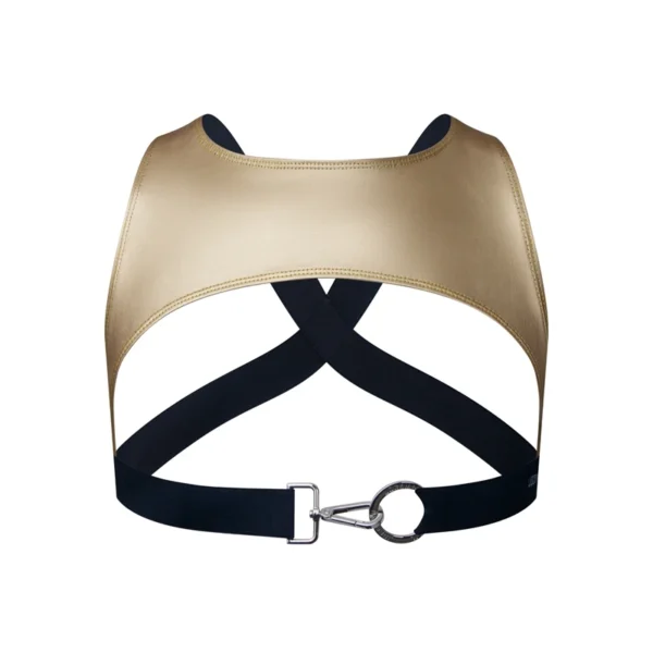 jm998-open-front-full-back-shiny-gold-harness.webp