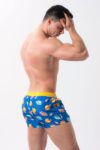 Alpha Male Sea Life Swim Trunks
