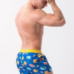 Alpha Male Sea Life Swim Trunks