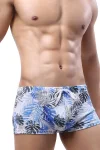 Blue Leaf Swim Shorts front