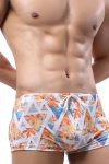 Brown Leaf Sunga Swim Shorts Front