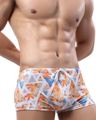 Brown Leaf Sunga Swim Shorts Front