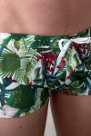 Green Leaf Sunga Swim Shorts Ca Review