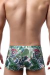 Green Leaf Swim Shorts Back