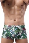 Green Leaf Swim Shorts Front