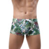 Green Leaf Swim Shorts Front