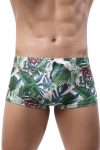 Green Leaf Swim Shorts Front