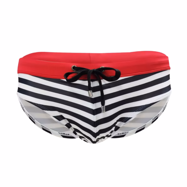 Monte Carlo Swim Briefs in black