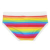 Rainbow Swim Briefs With White Waistband 2