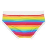 Rainbow Swim Briefs With White Waistband 2