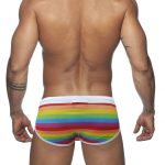 Rainbow Swim Briefs With White Waistband Back