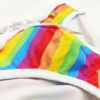 Rainbow Swim Briefs With White Waistband Close Up