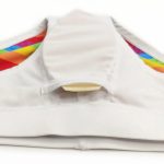 Rainbow Swim Briefs With White Waistband Insert