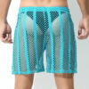 Sheer Large Mesh Shorts Cyan Rear