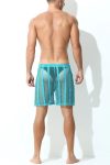 Sheer Large Mesh Shorts Cyan Rear