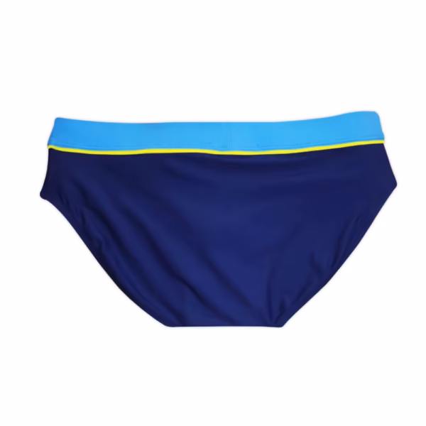 Triumph Swim Briefs in navy blue